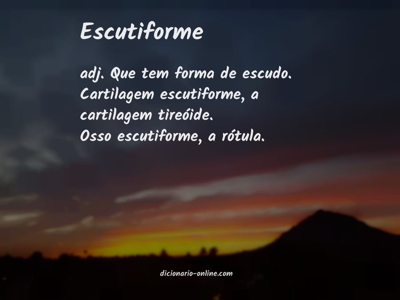 Significado de escutiforme