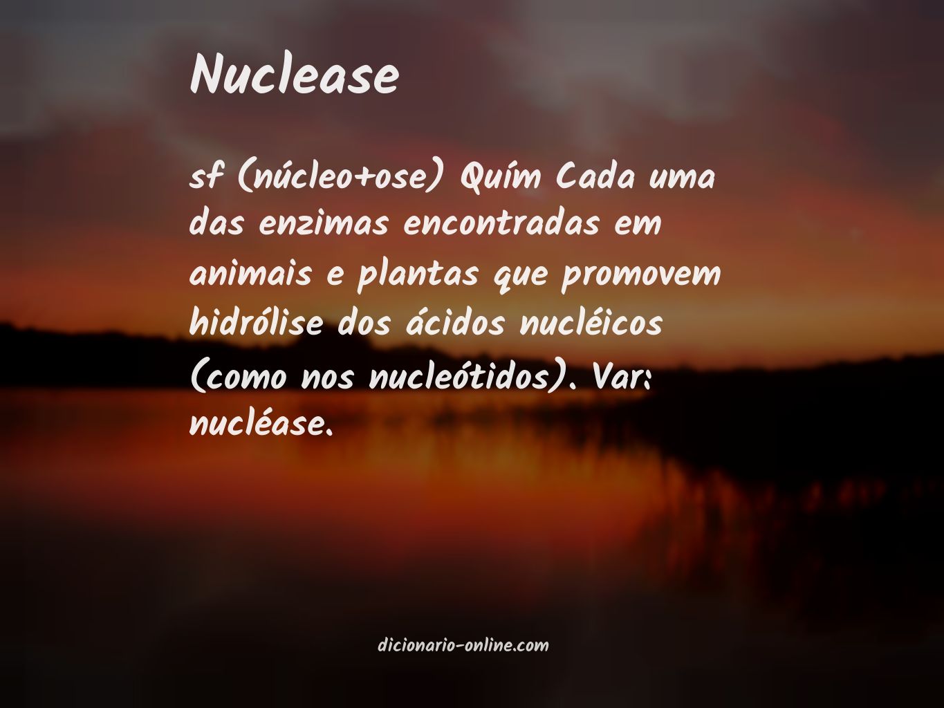 Significado de nuclease