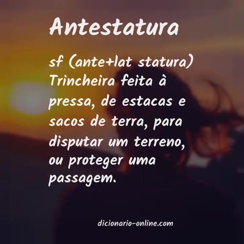 Significado de antestatura
