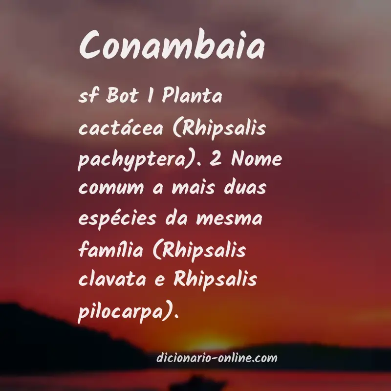 Significado de conambaia