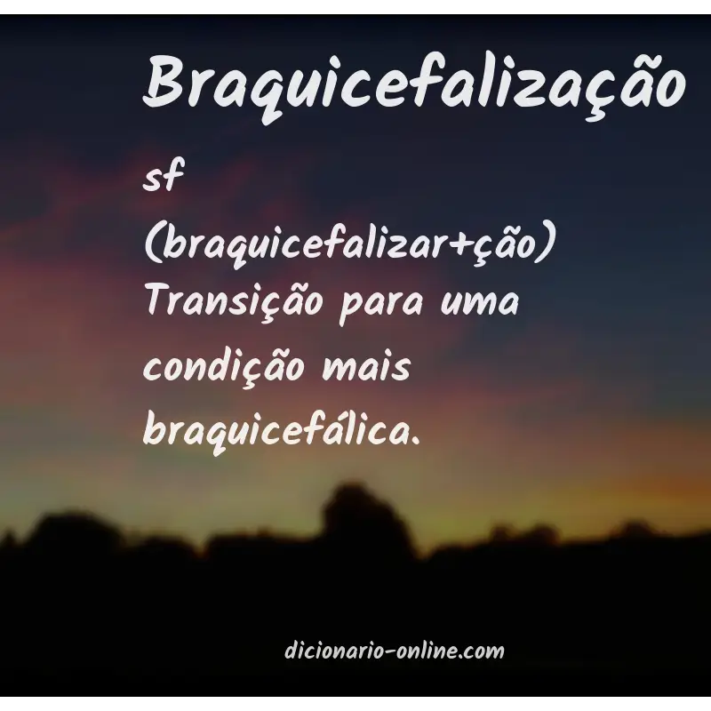 Significado de braquicefalização