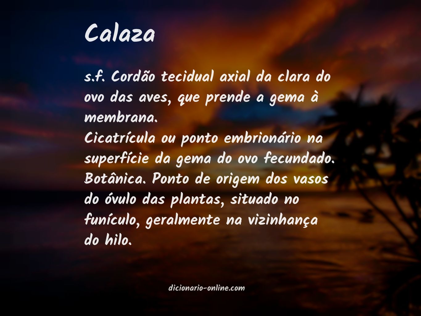 Significado de calaza