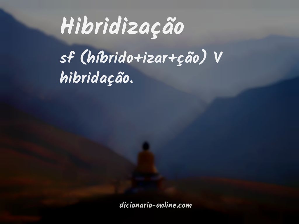 Significado de hibridização