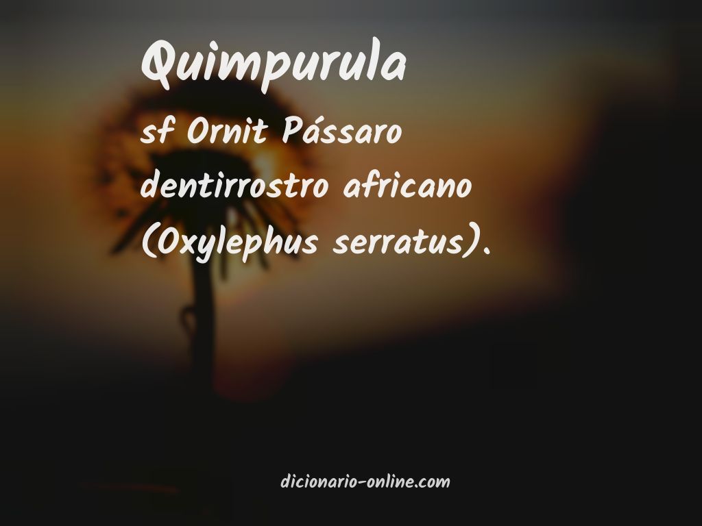 Significado de quimpurula