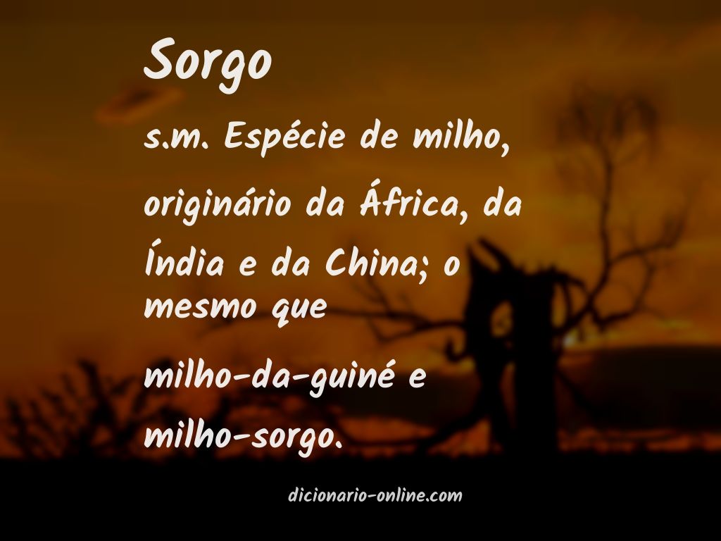 Significado de sorgo