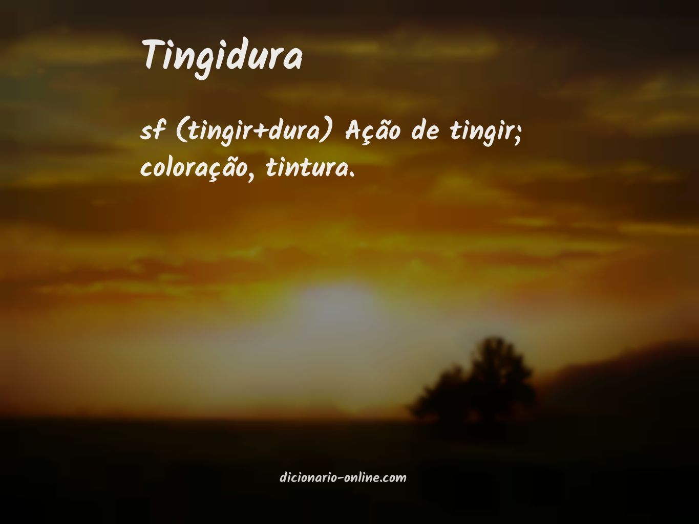 Significado de tingidura