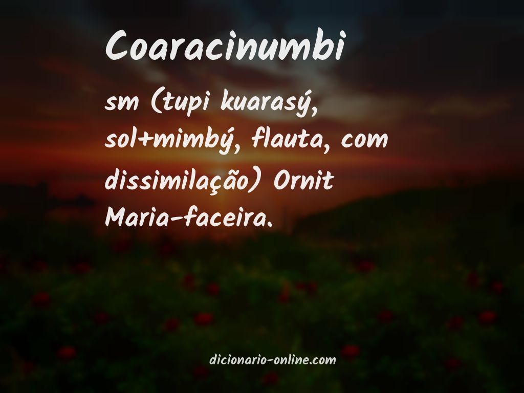 Significado de coaracinumbi