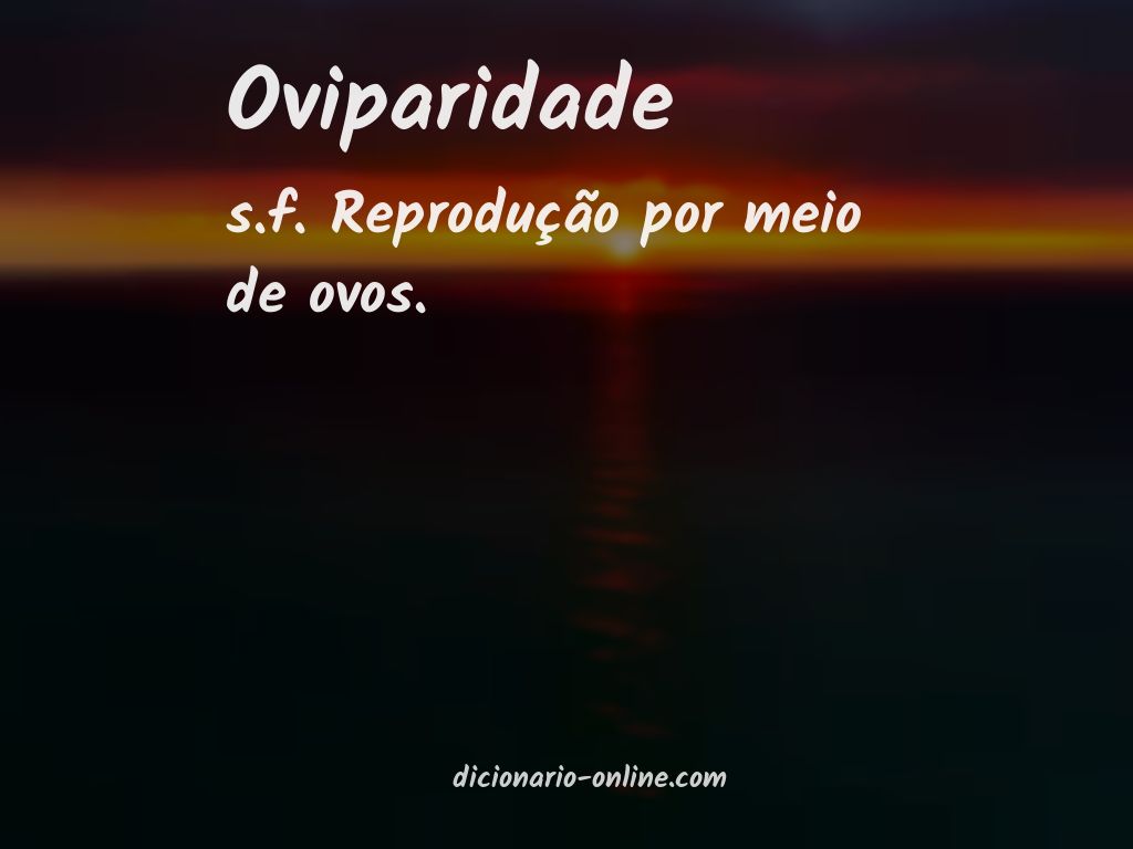 Significado de oviparidade