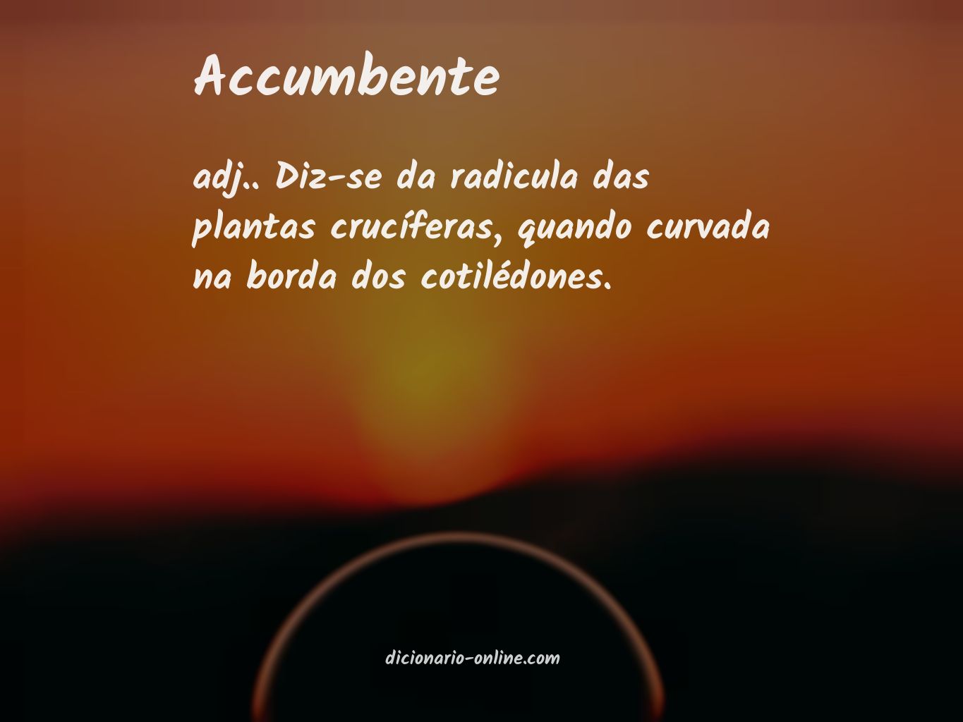 Significado de accumbente