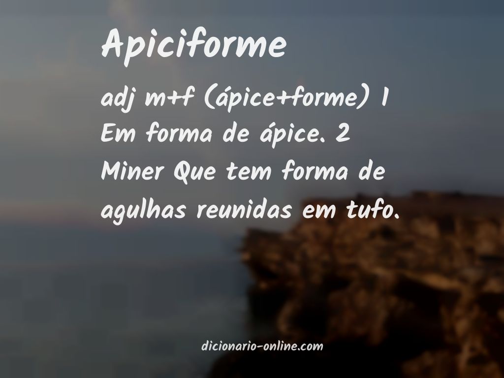 Significado de apiciforme