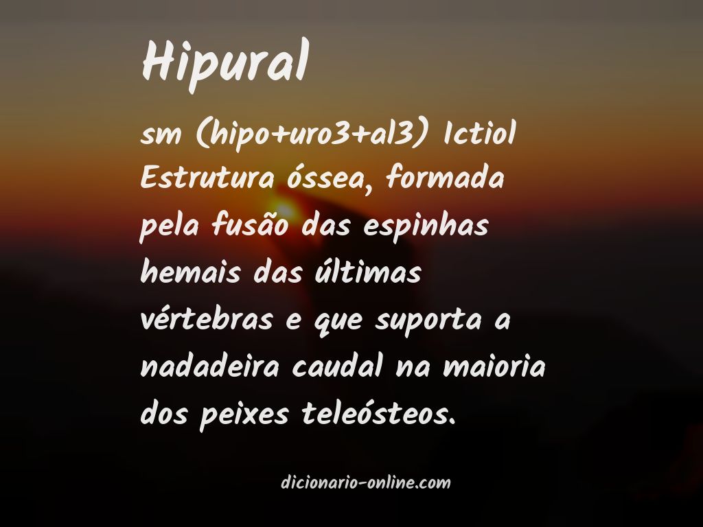 Significado de hipural