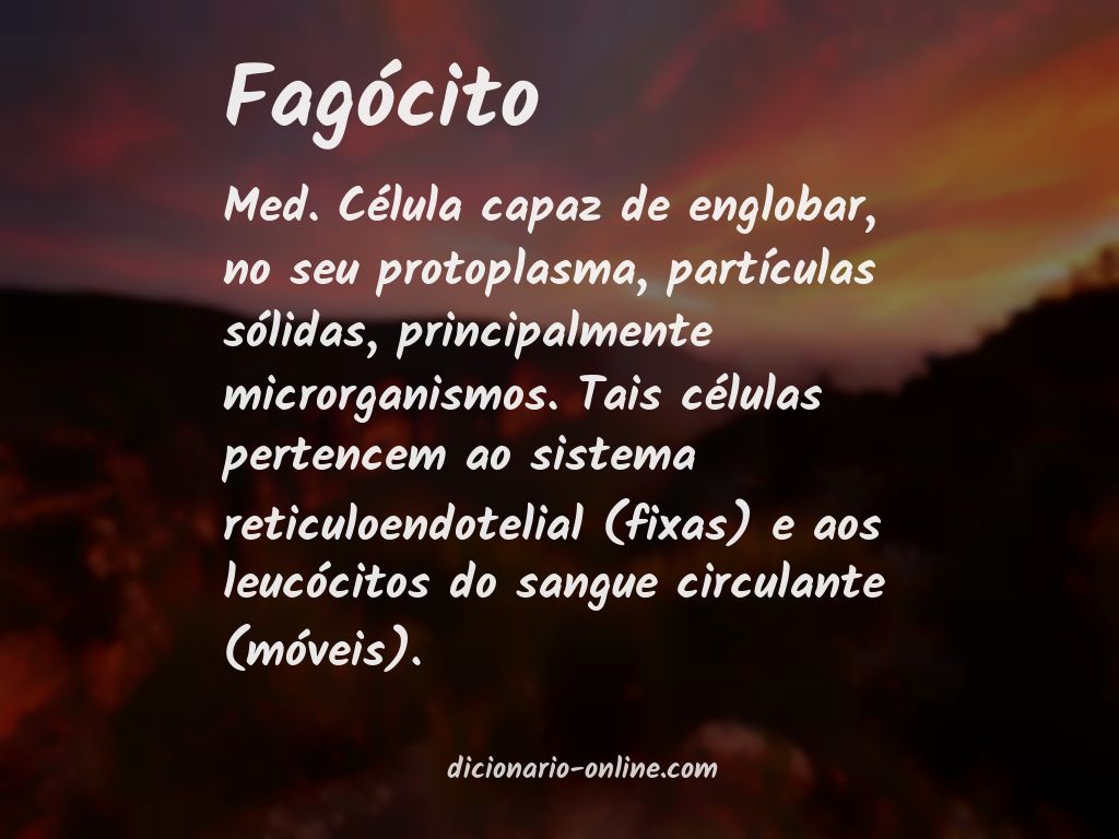 Significado de fagócito