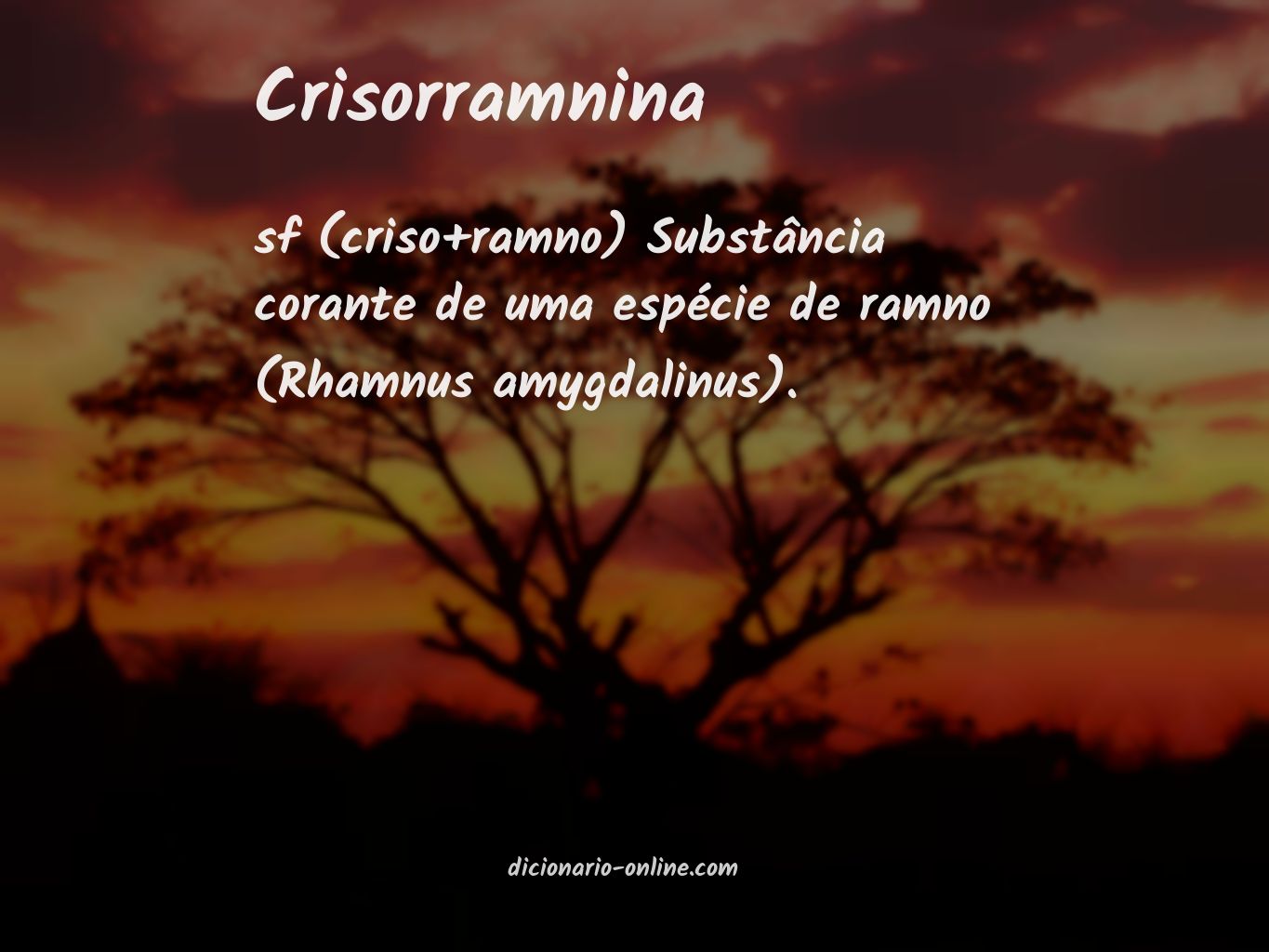 Significado de crisorramnina