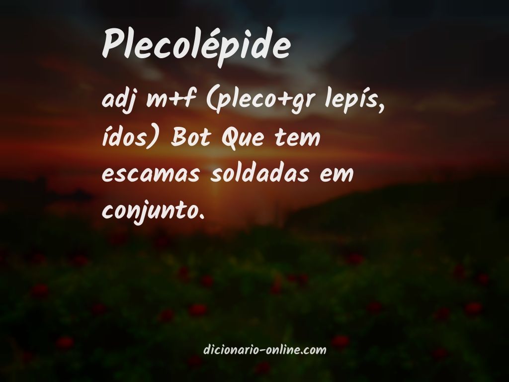 Significado de plecolépide