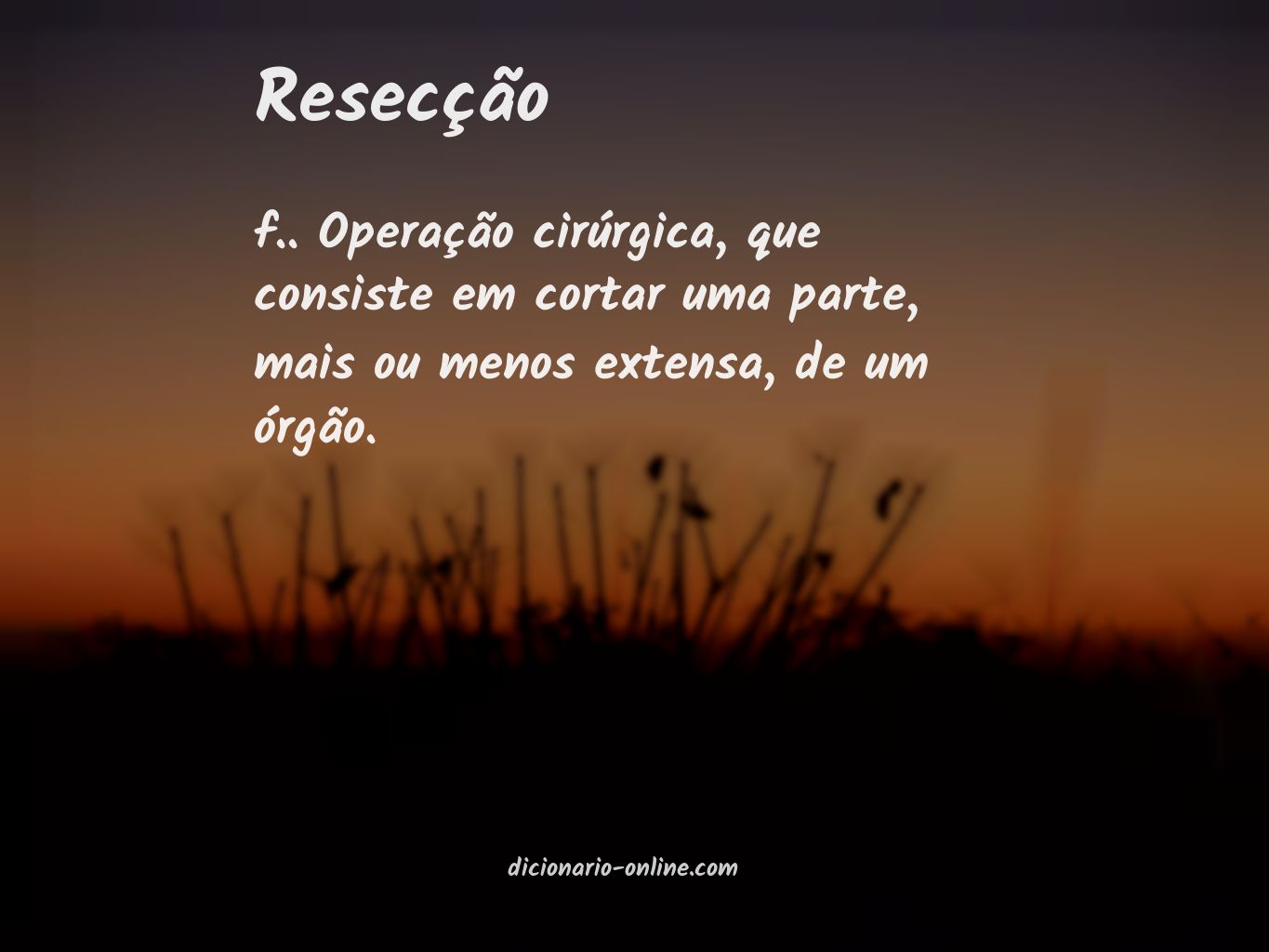 Significado de resecção