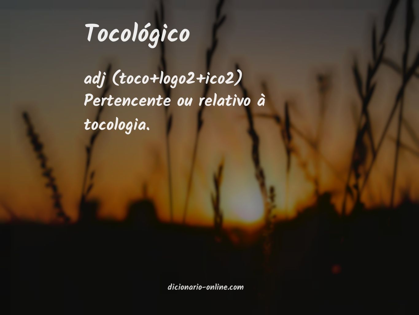 Significado de tocológico