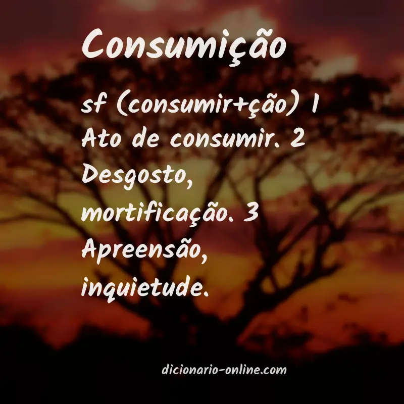 Significado de consumição