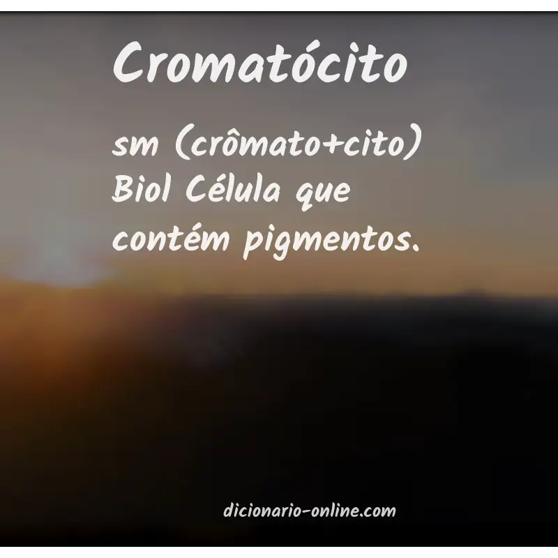 Significado de cromatócito