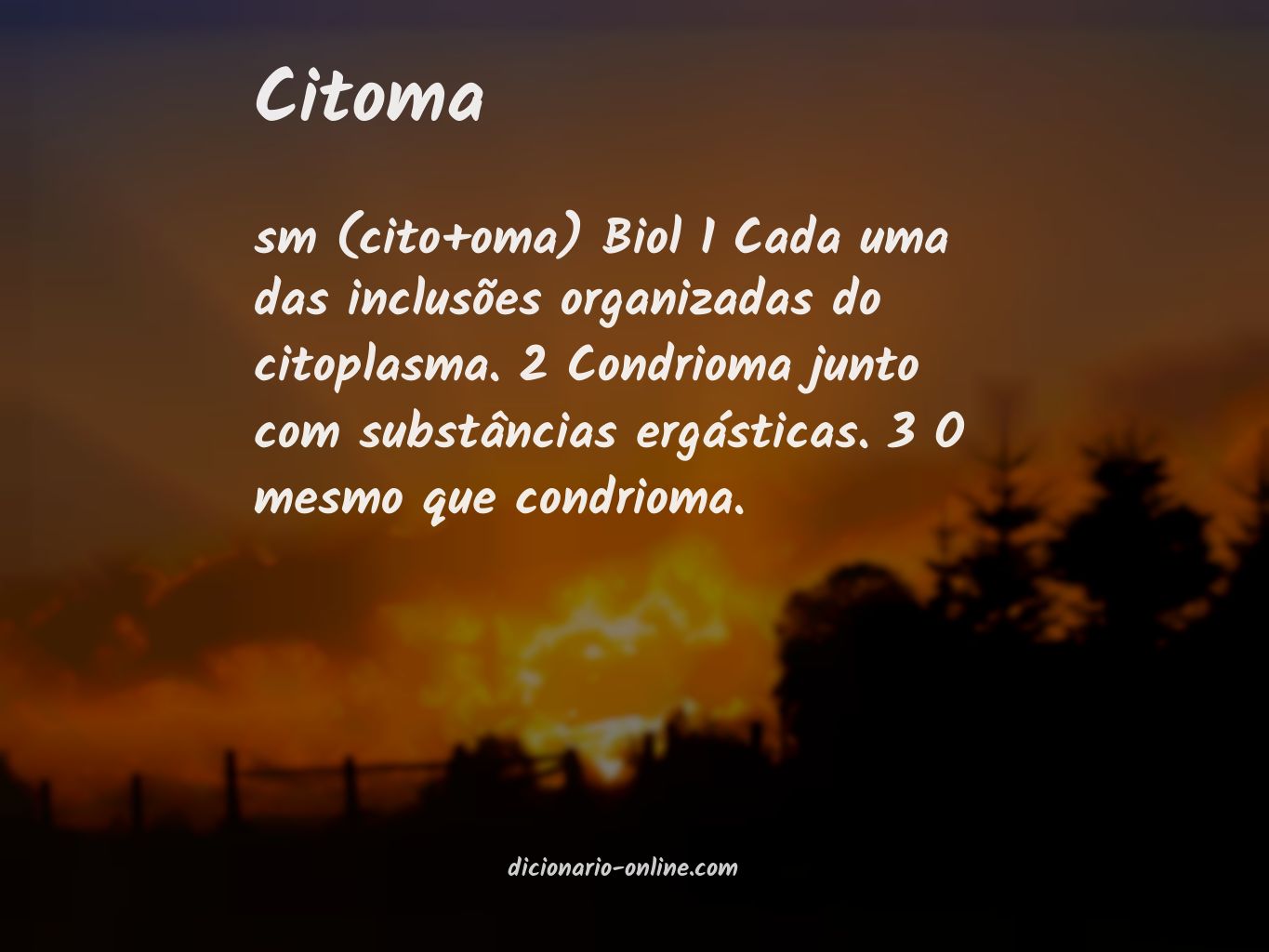 Significado de citoma