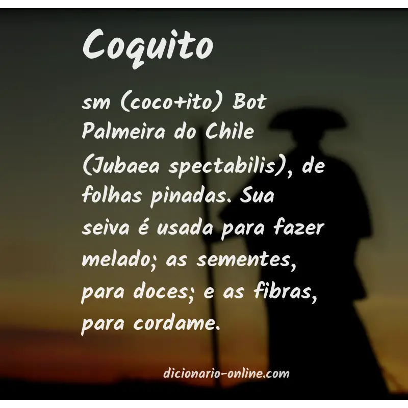 Significado de coquito