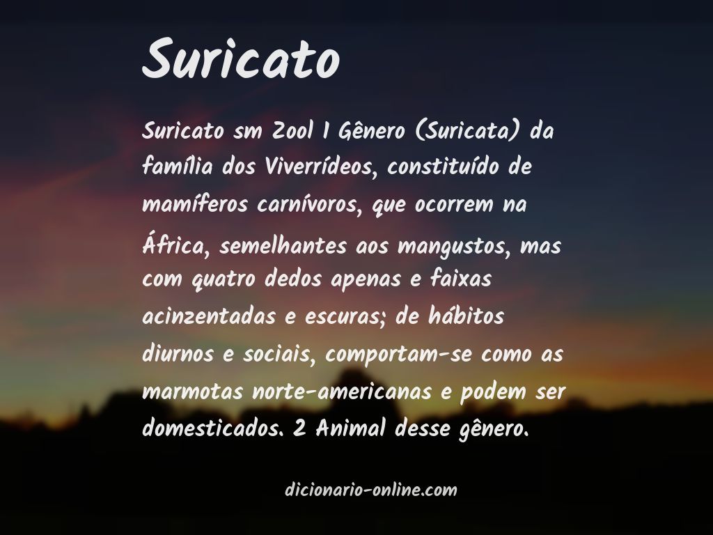 Significado de suricato