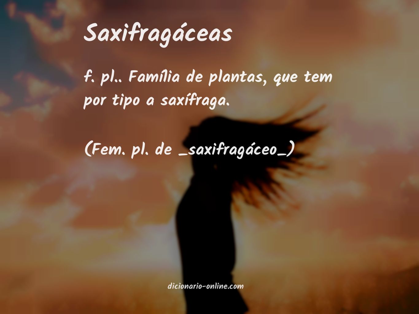 Significado de saxifragáceas