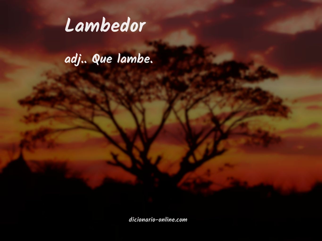 Significado de lambedor