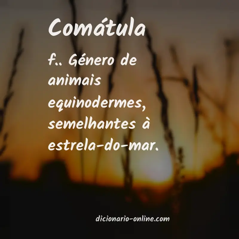 Significado de comátula