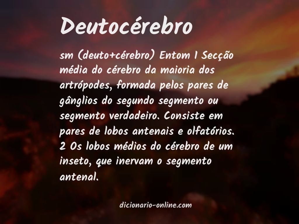 Significado de deutocérebro