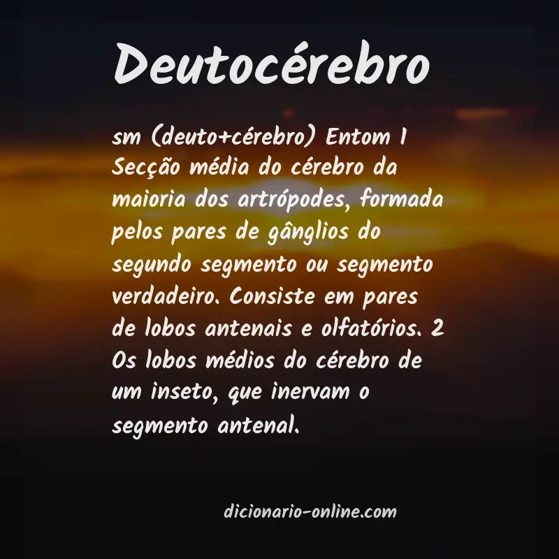 Significado de deutocérebro