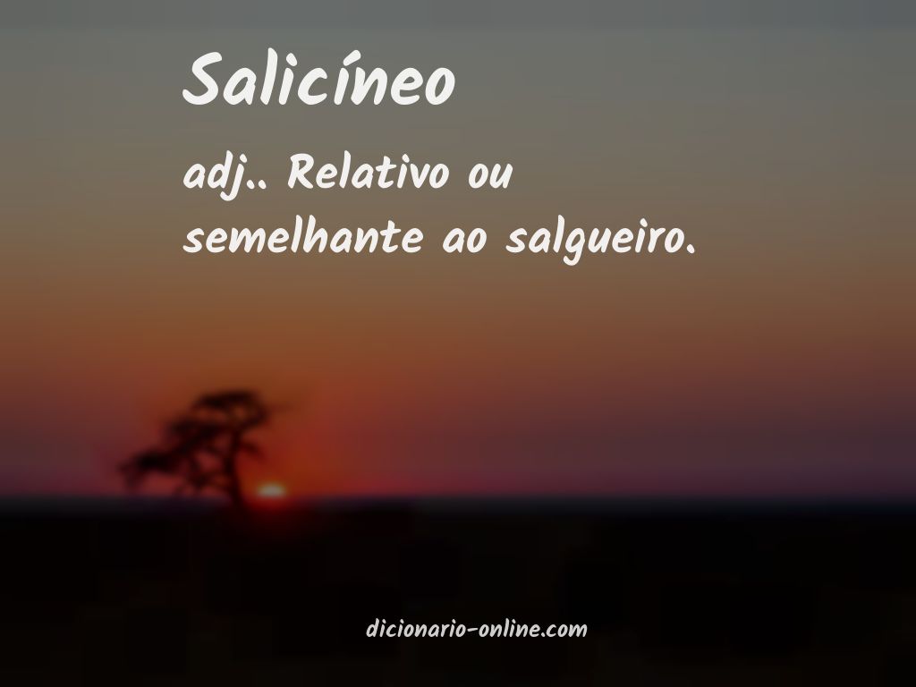 Significado de salicíneo