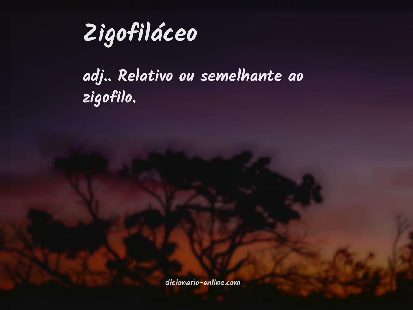 Significado de zigofiláceo