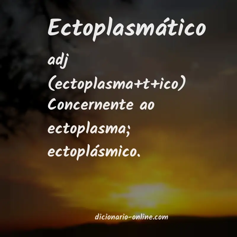 Significado de ectoplasmático