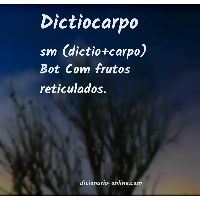 Significado de dictiocarpo