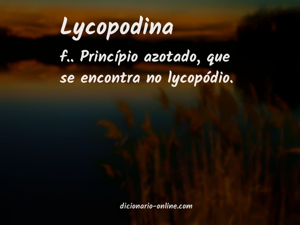 Significado de lycopodina
