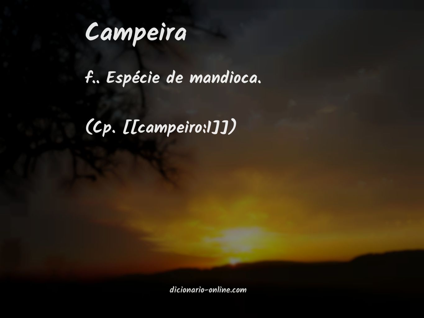 Significado de campeira