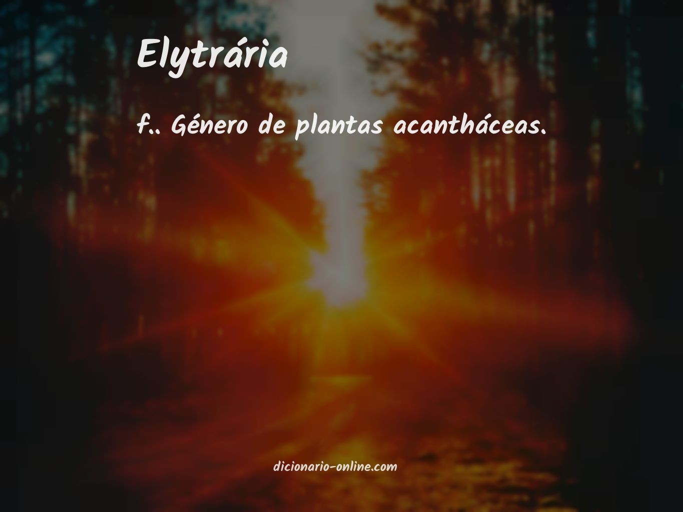 Significado de elytrária