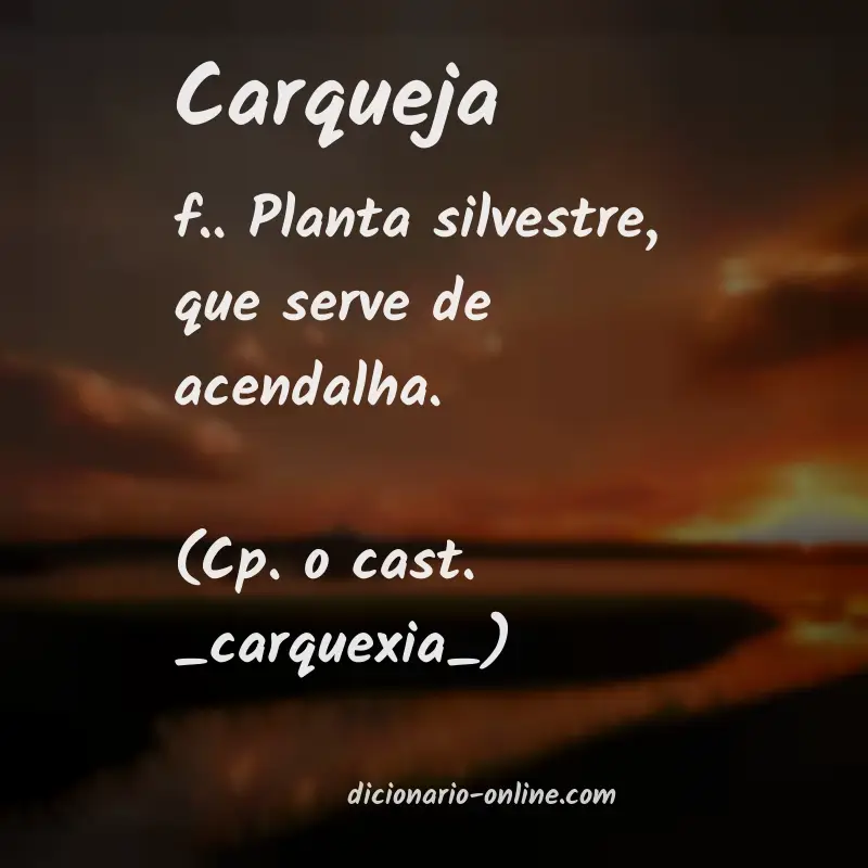 Significado de carqueja