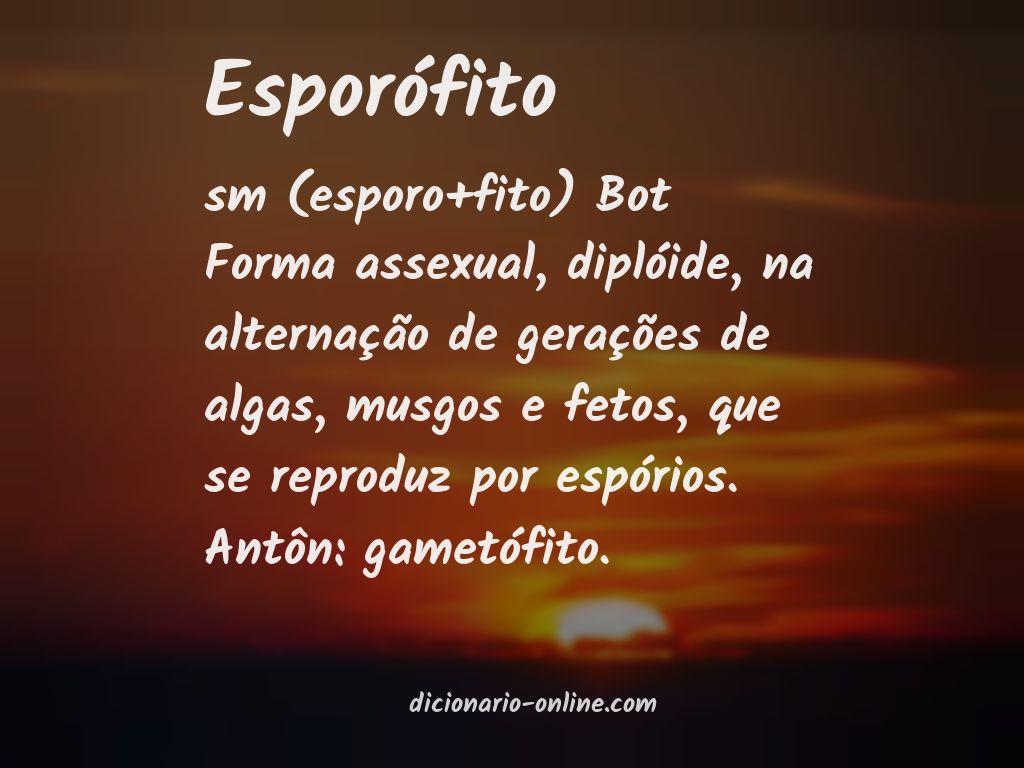 Significado de esporófito