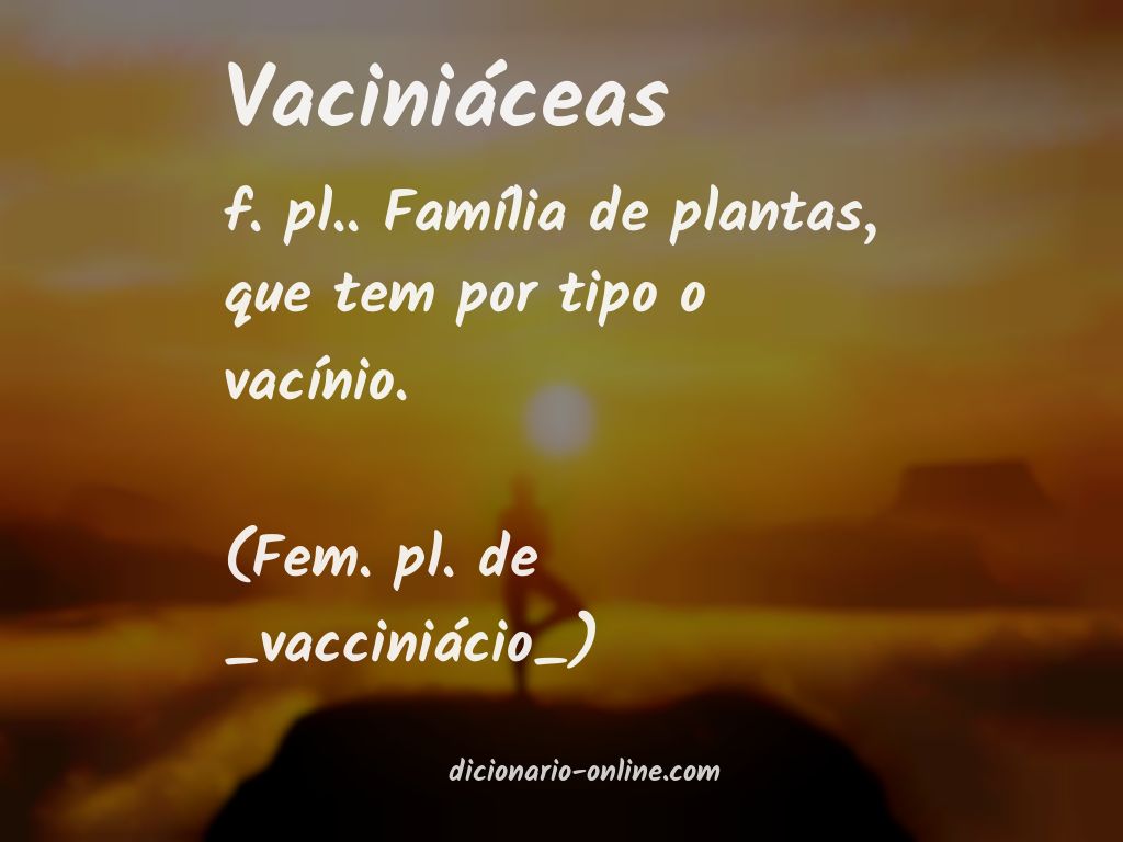 Significado de vaciniáceas