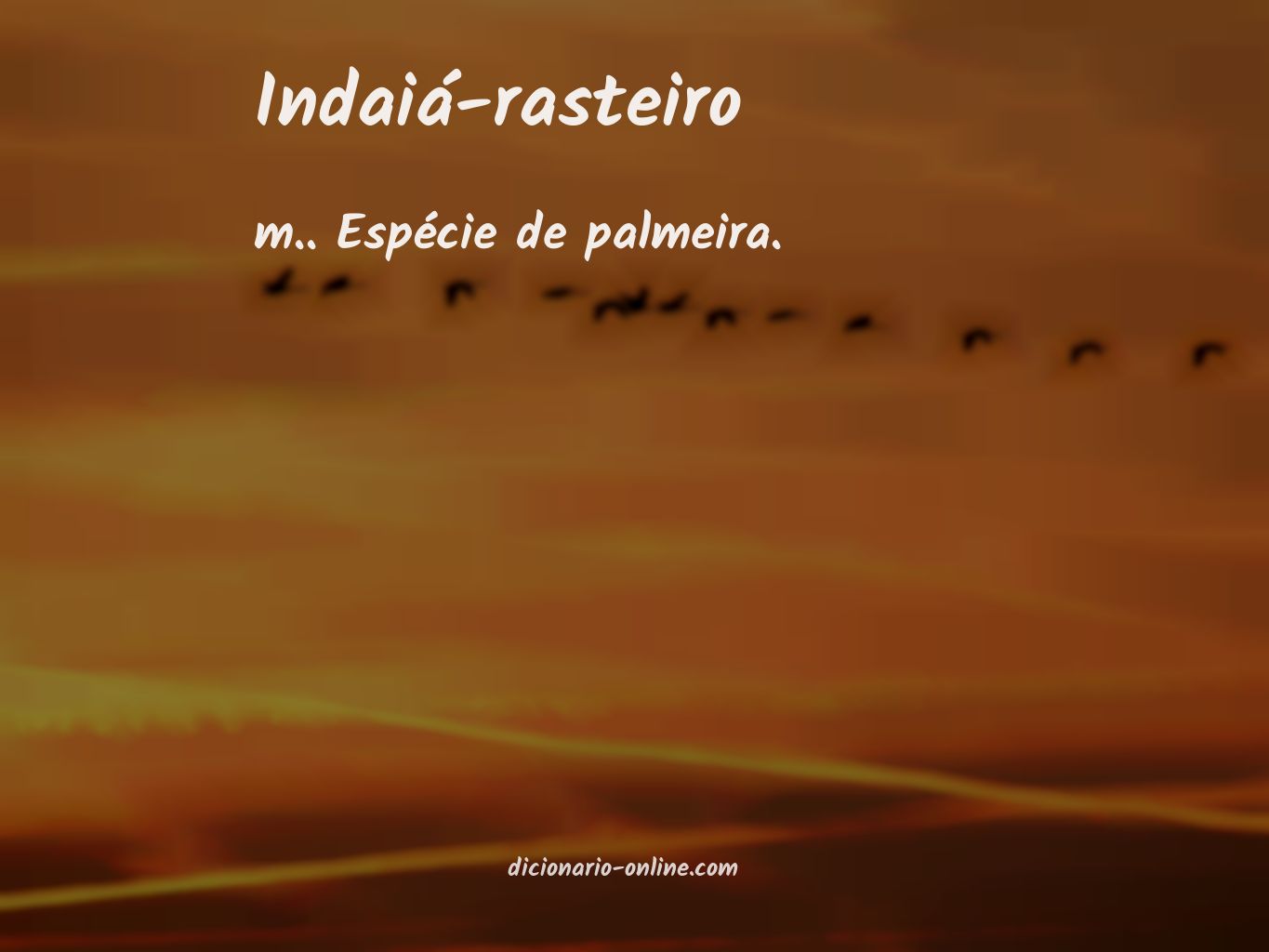 Significado de indaiá-rasteiro