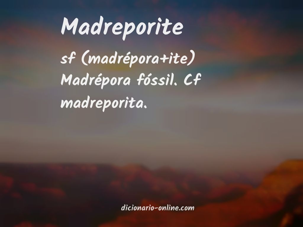 Significado de madreporite