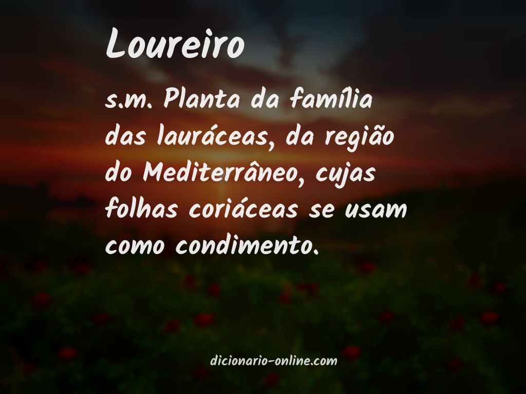 Significado de loureiro