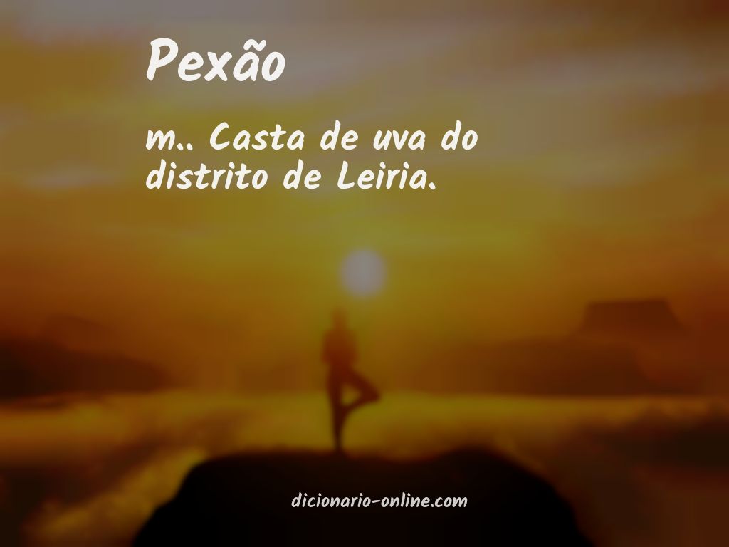 Significado de pexão