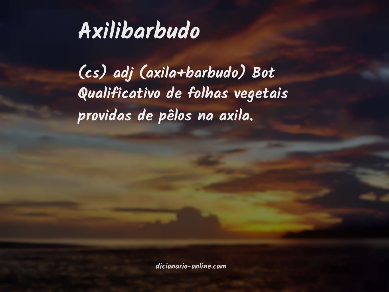 Significado de axilibarbudo