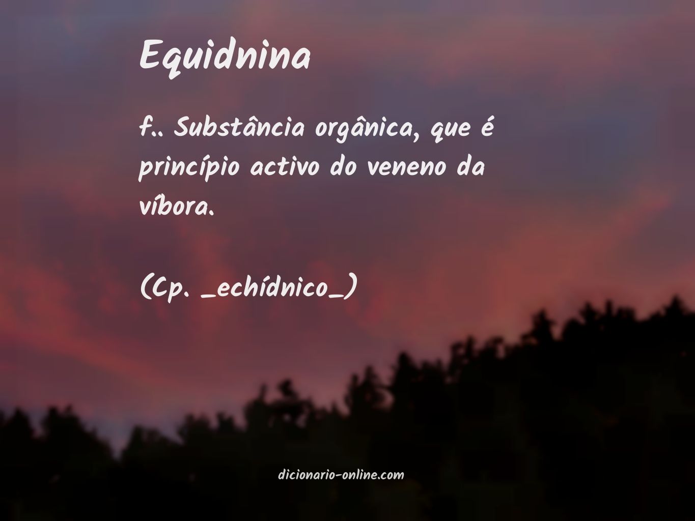 Significado de equidnina