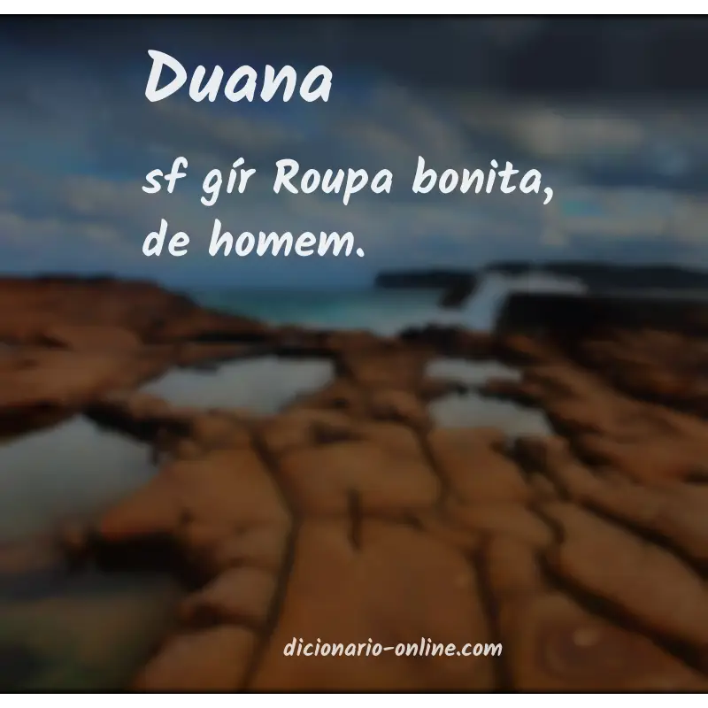 Significado de duana