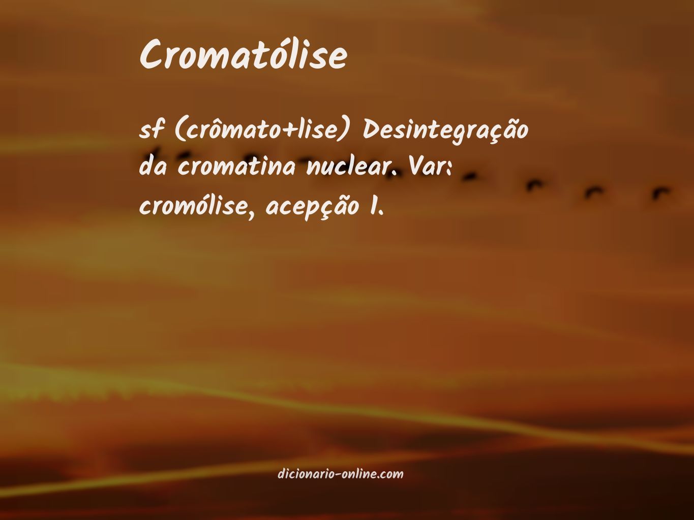Significado de cromatólise