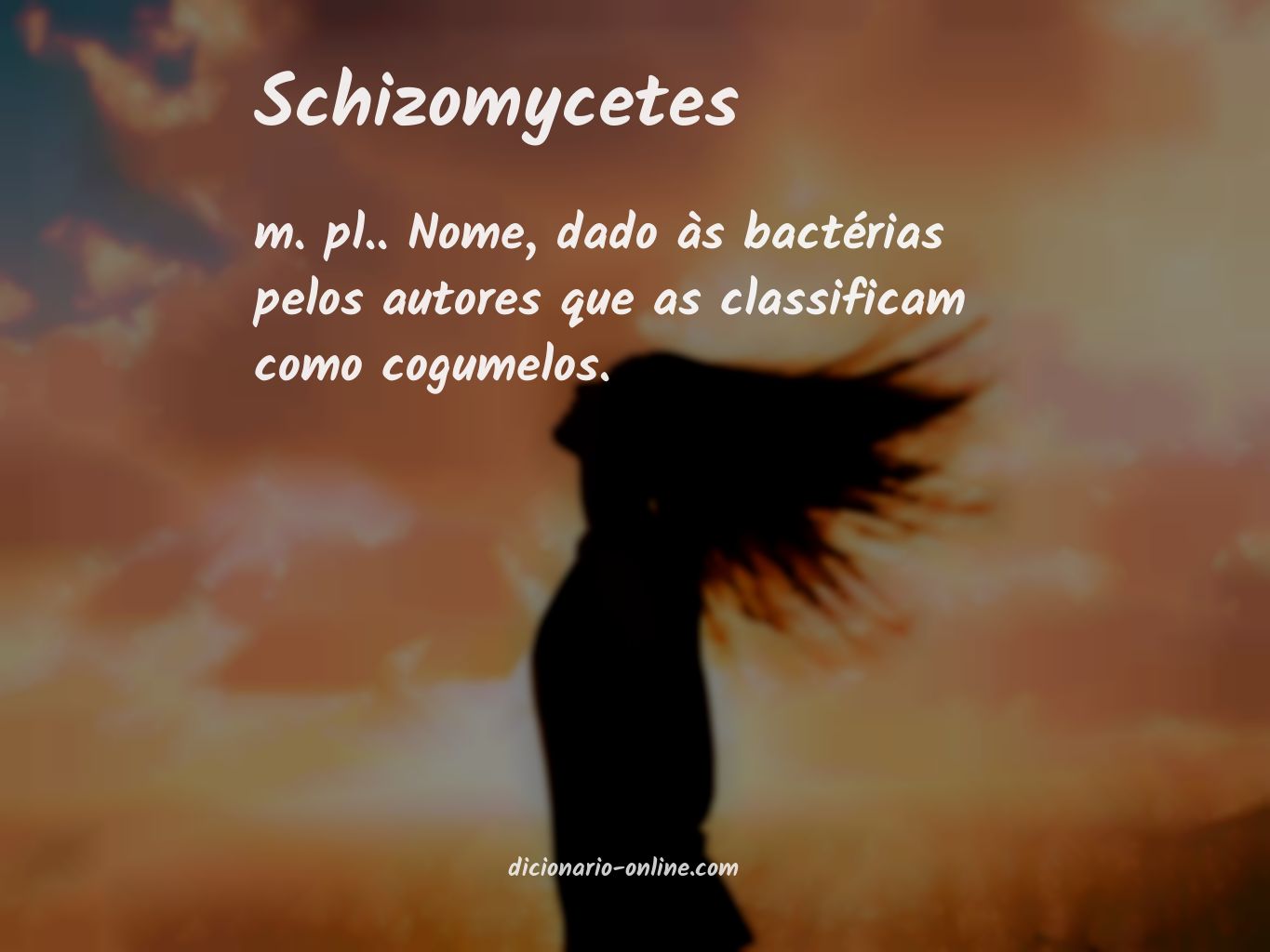 Significado de schizomycetes