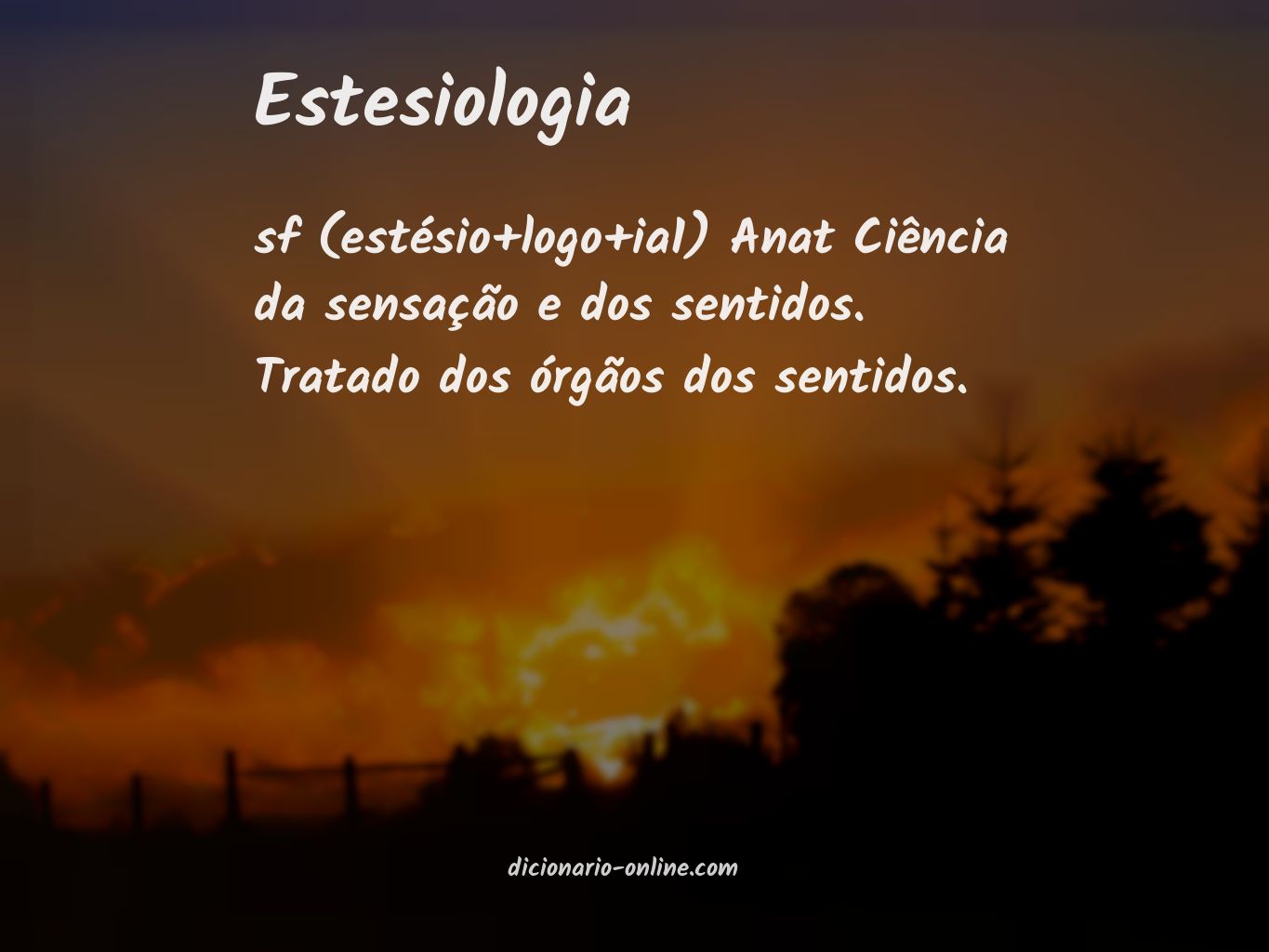 Significado de estesiologia